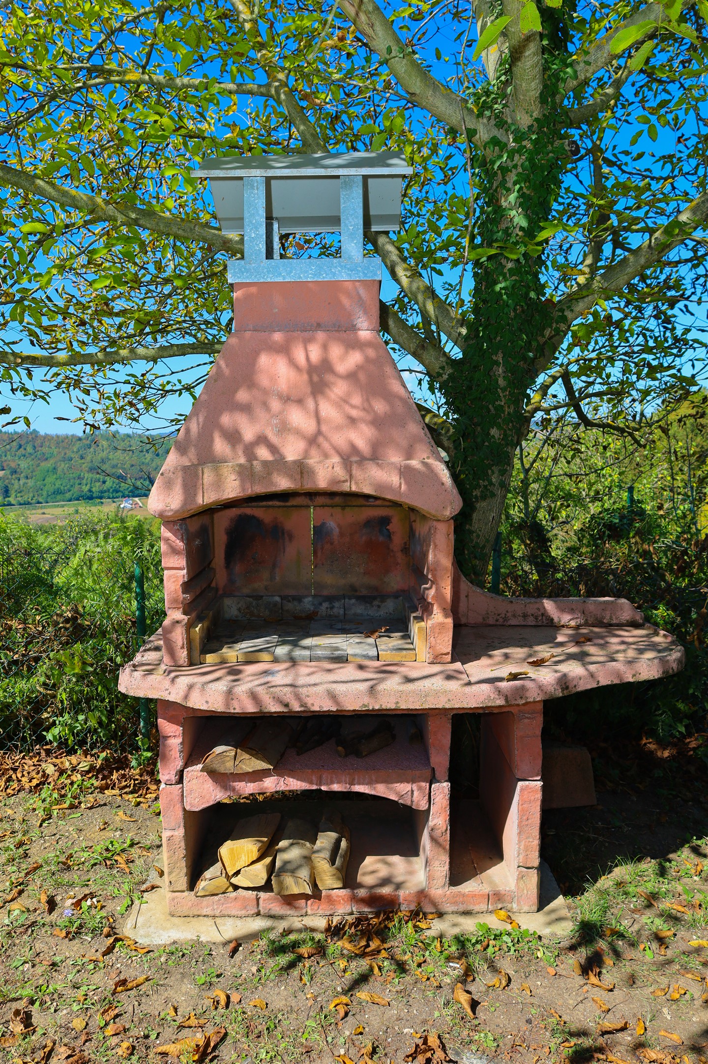 Komplet kuća okružena travom i zelenilom