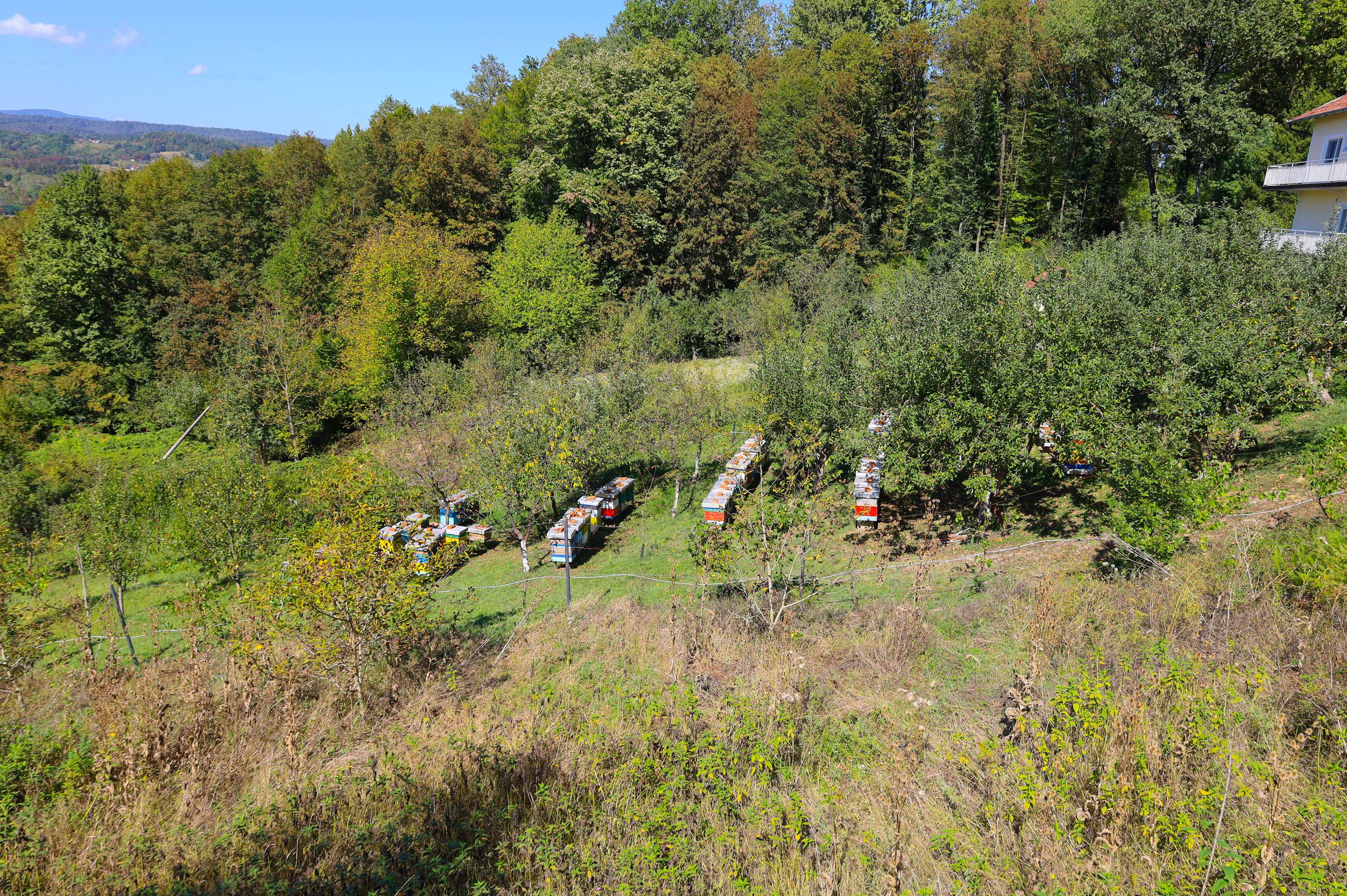 Gdje su pčele i priroda je zdrava