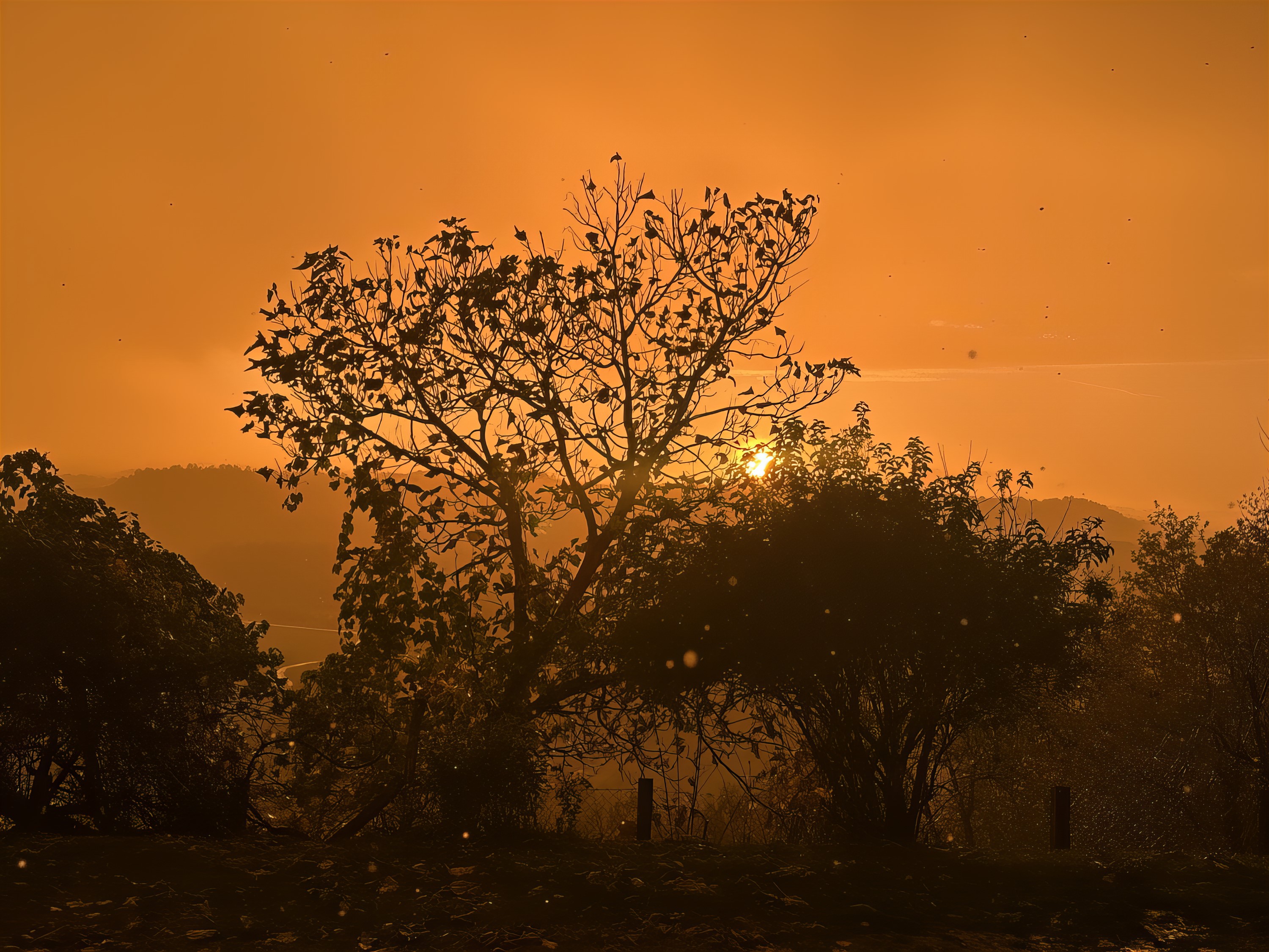 Prelijep pogled na zalazak sunca