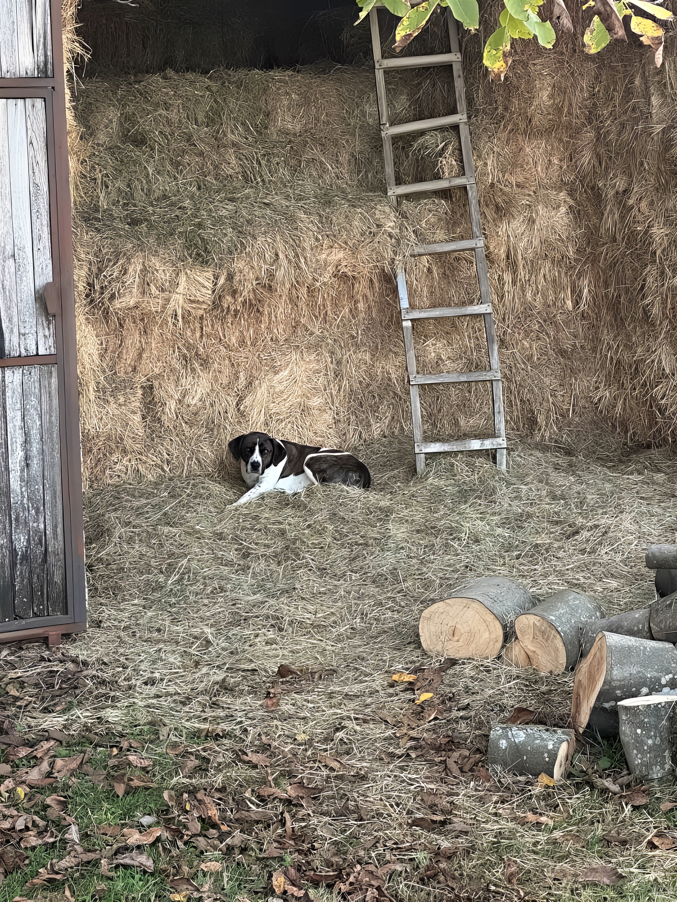 Svako ima mjesto za odmor